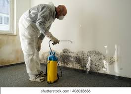 Mold Remediation for Vacation Homes in Hicksville, NY